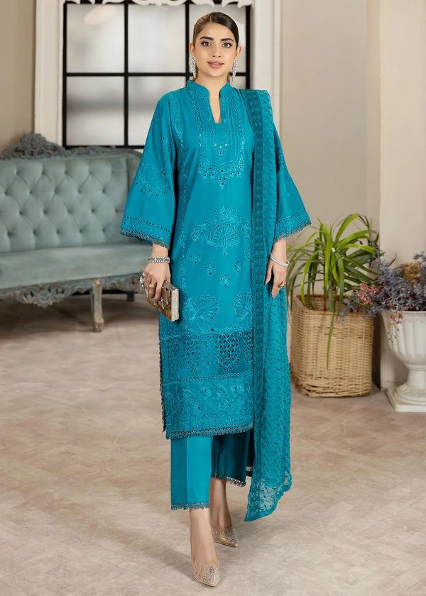 NK-Haseen Luxury ChikaNKari -NK-C2-08