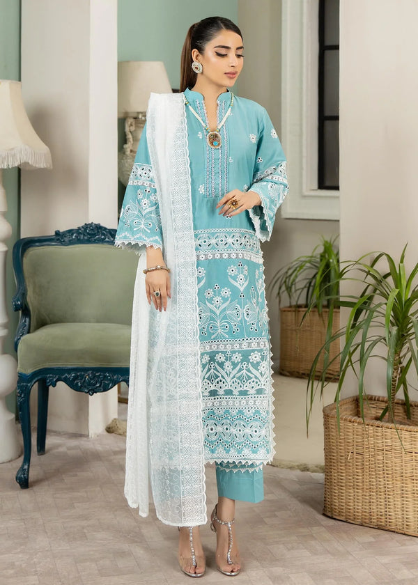 NK-Haseen Luxury ChikaNKari -NK-C2-05