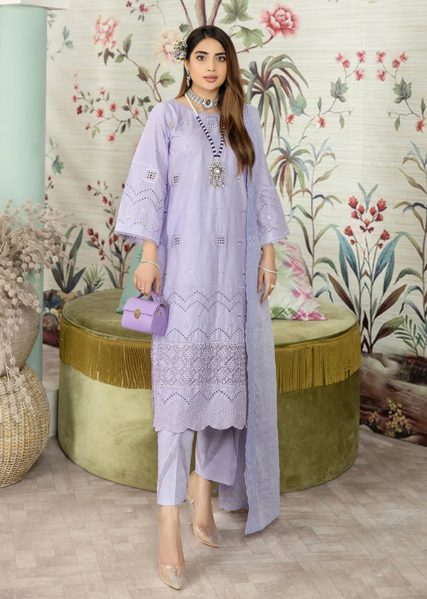 NK-Haseen Luxury ChikaNKari -NK-C2-04