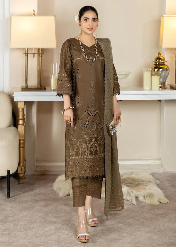NK-Haseen Luxury ChikaNKari -NK-C2-12