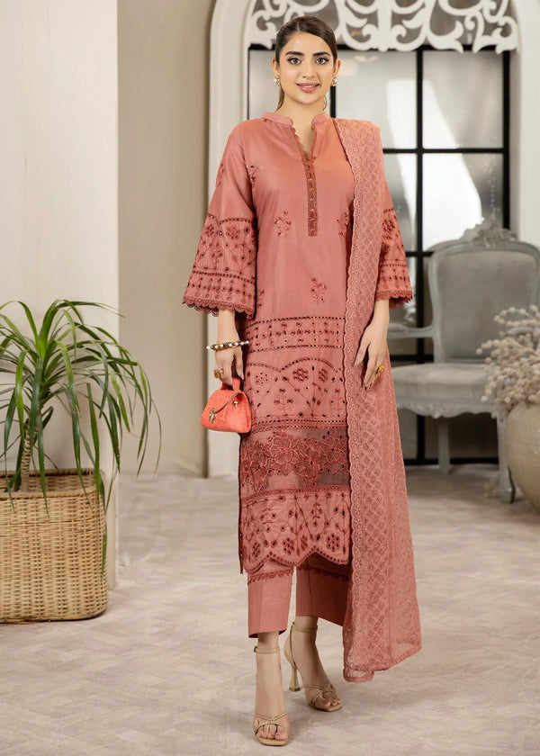 NK-Haseen Luxury ChikaNKari -NK-C2-07